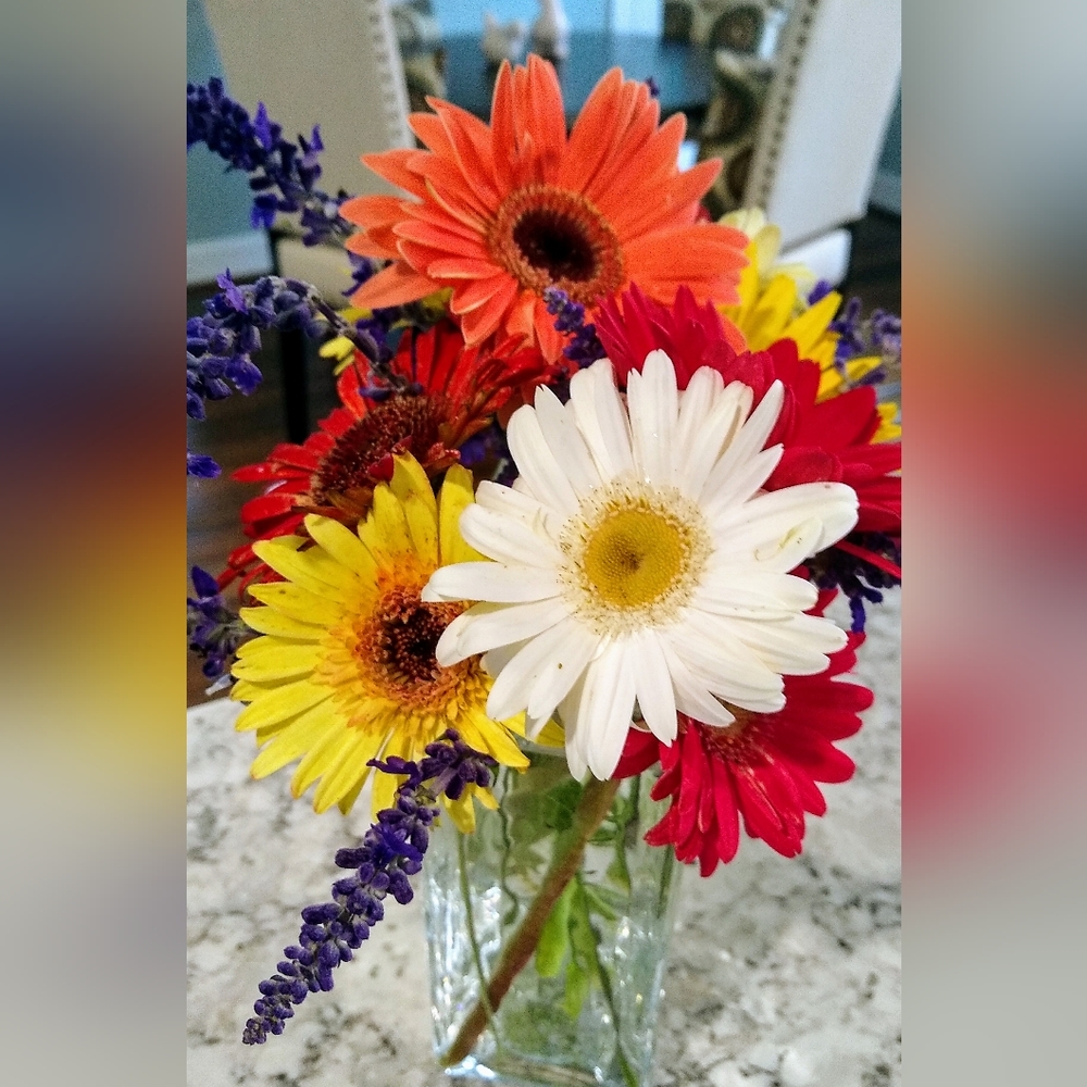 From my garden🌼🌼🌼